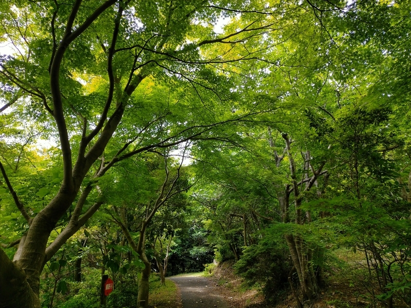 f:id:tamikiti67:20210512170406j:plain