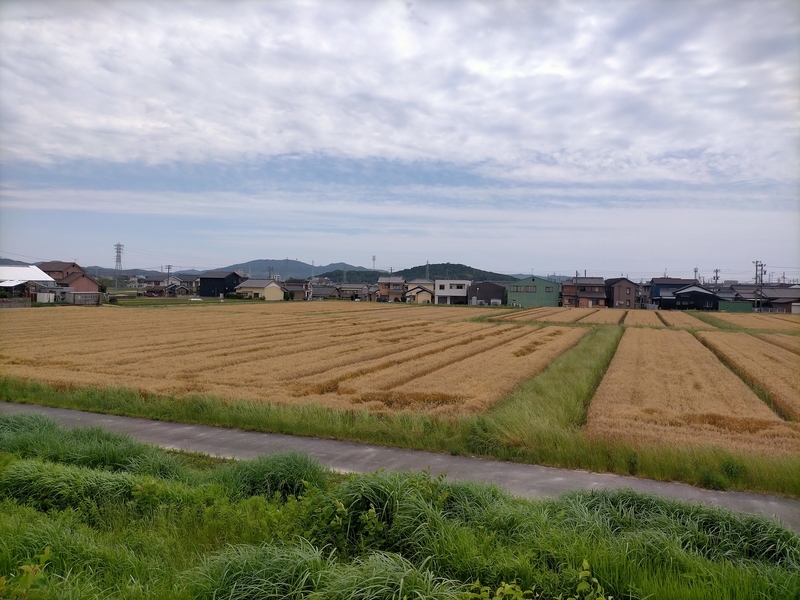 f:id:tamikiti67:20210525160957j:plain