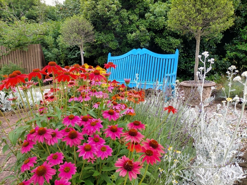 f:id:tamikiti67:20210618153246j:plain