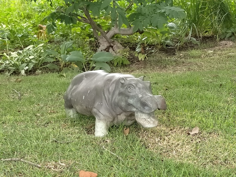 f:id:tamikiti67:20210618155331j:plain