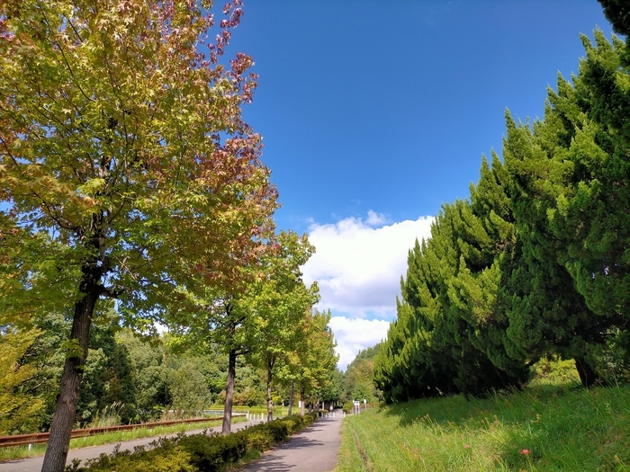 f:id:tamikiti67:20210929202312j:plain