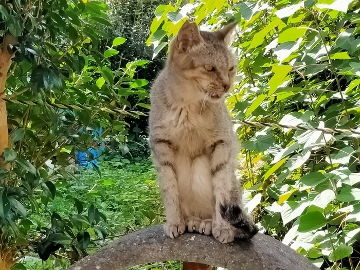 f:id:tamikiti67:20210929202343j:plain