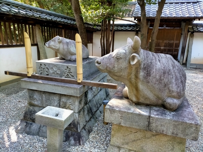 f:id:tamikiti67:20210929202835j:plain