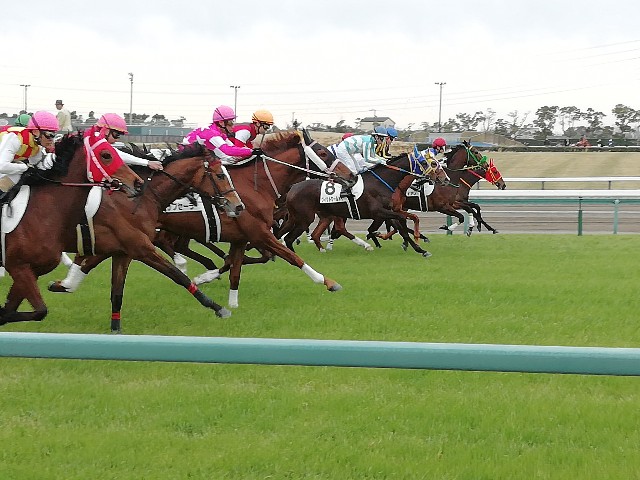 f:id:tamikiti67:20210930143945j:plain