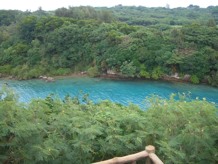 f:id:tamikiti67:20211001223928j:plain