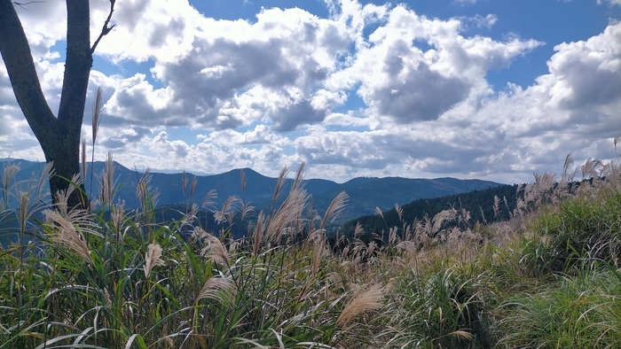 f:id:tamikiti67:20211014224748j:plain