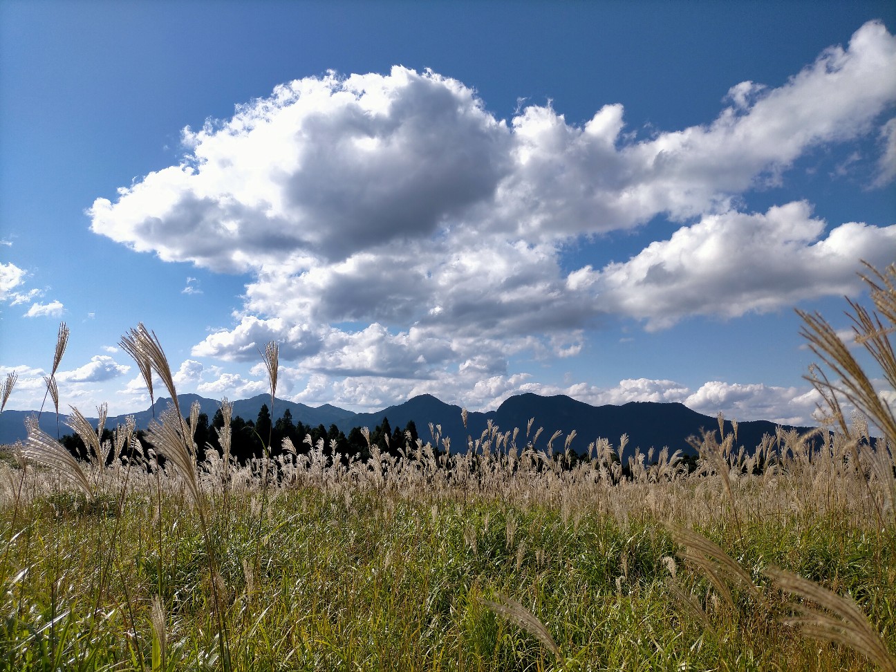 f:id:tamikiti67:20211014233632j:plain