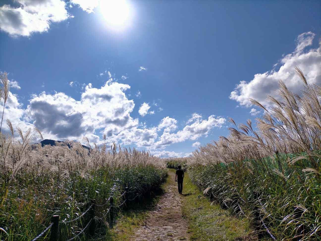 f:id:tamikiti67:20211014233655j:plain