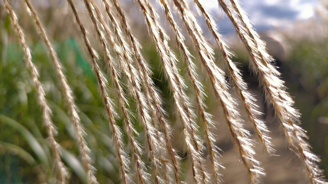 f:id:tamikiti67:20211014234143j:plain