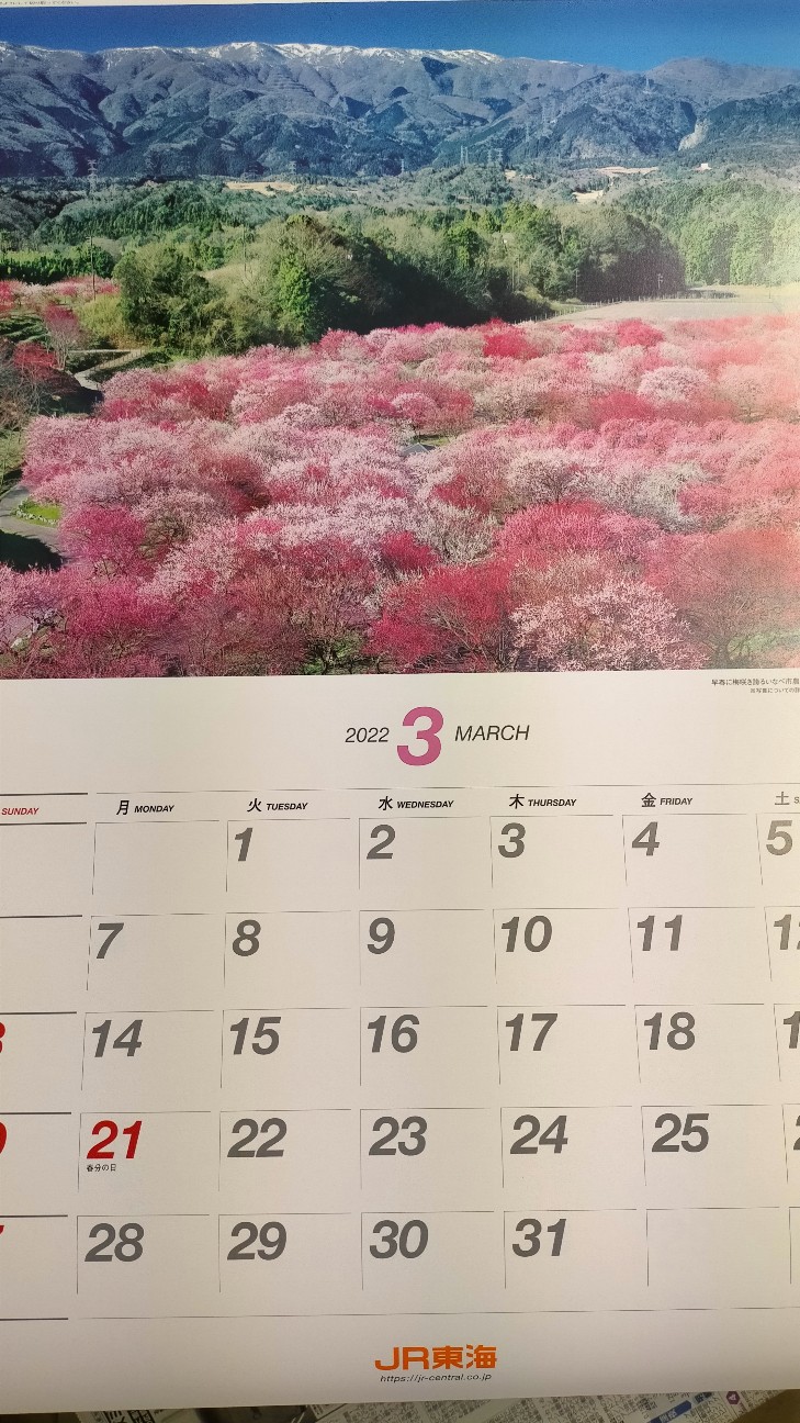 f:id:tamikiti67:20211221225401j:image f:id:tamikiti67:20211221225401j:image