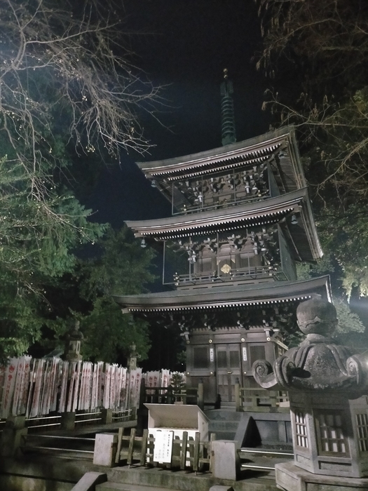 f:id:tamikiti67:20220103231557j:plain