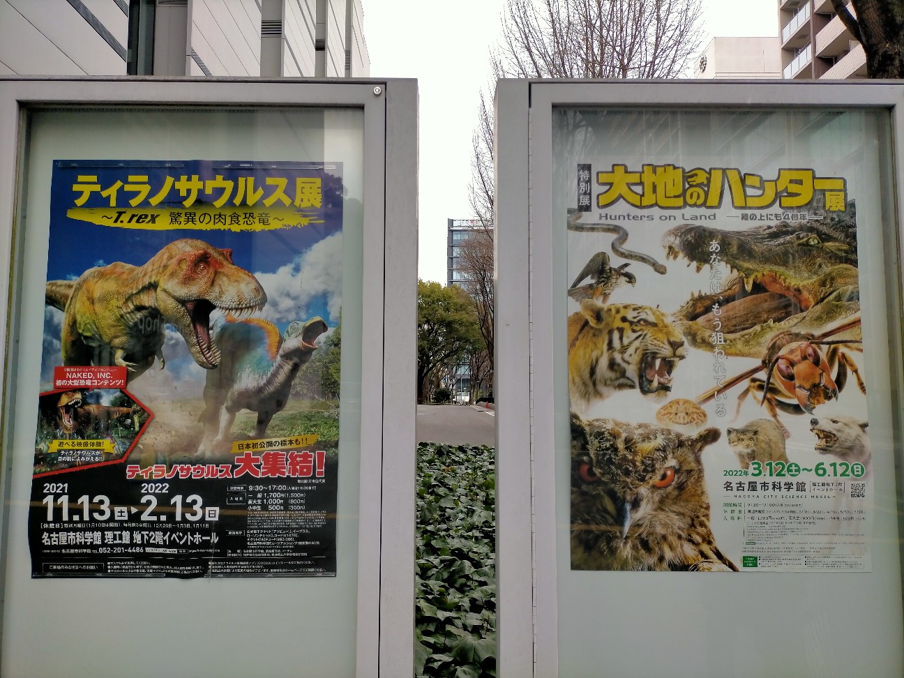 f:id:tamikiti67:20220125182959j:image