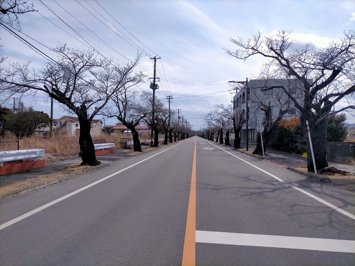 f:id:tamikiti67:20220310223831j:plain