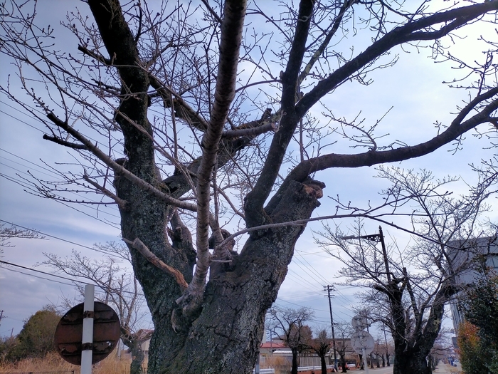 f:id:tamikiti67:20220310223841j:plain