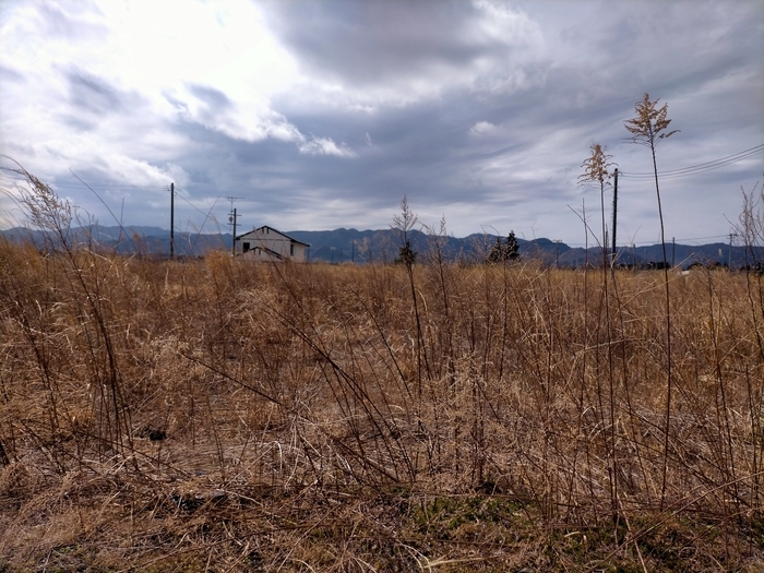 f:id:tamikiti67:20220310224026j:plain