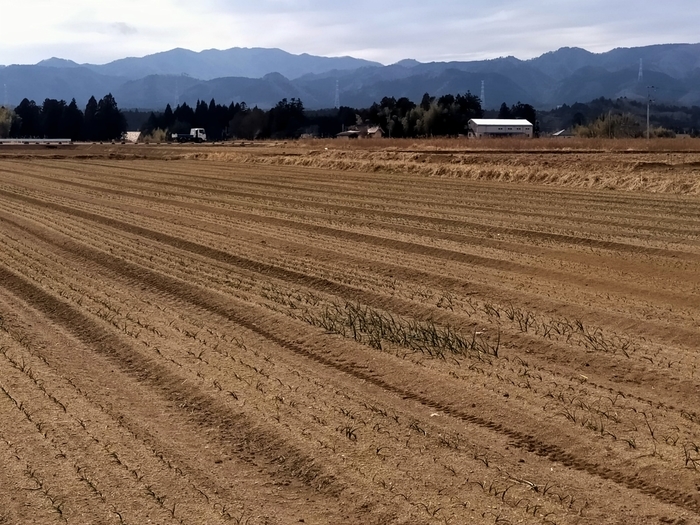 f:id:tamikiti67:20220310224143j:plain