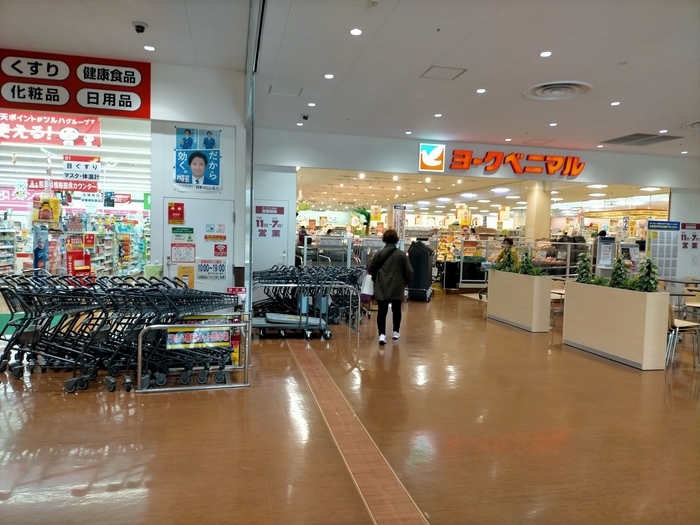 f:id:tamikiti67:20220310225017j:plain