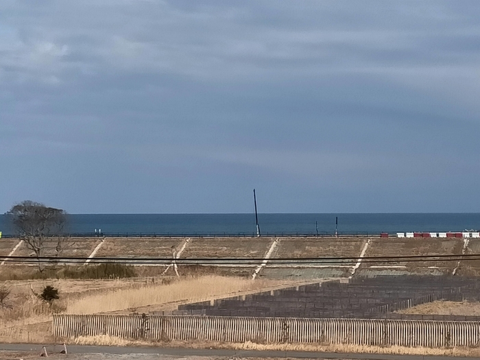 f:id:tamikiti67:20220310225112j:plain