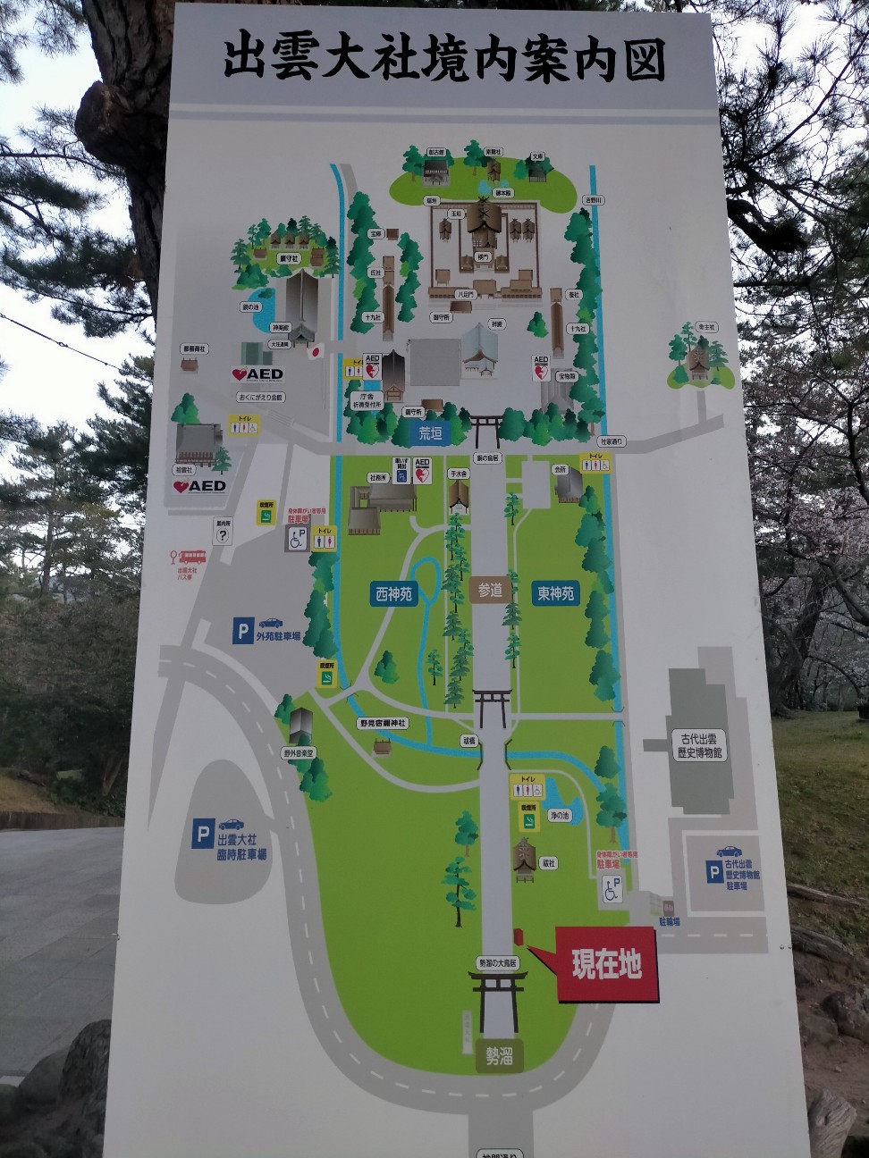 朝飯前の出雲大社参拝 まーきちのお気楽生活