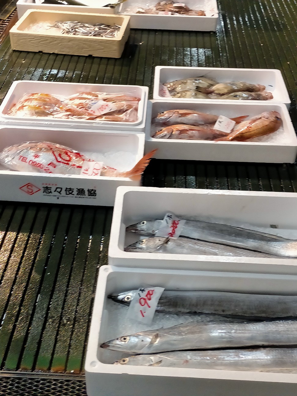 f:id:tamikiti67:20220331115848j:image f:id:tamikiti67:20220331115848j:image