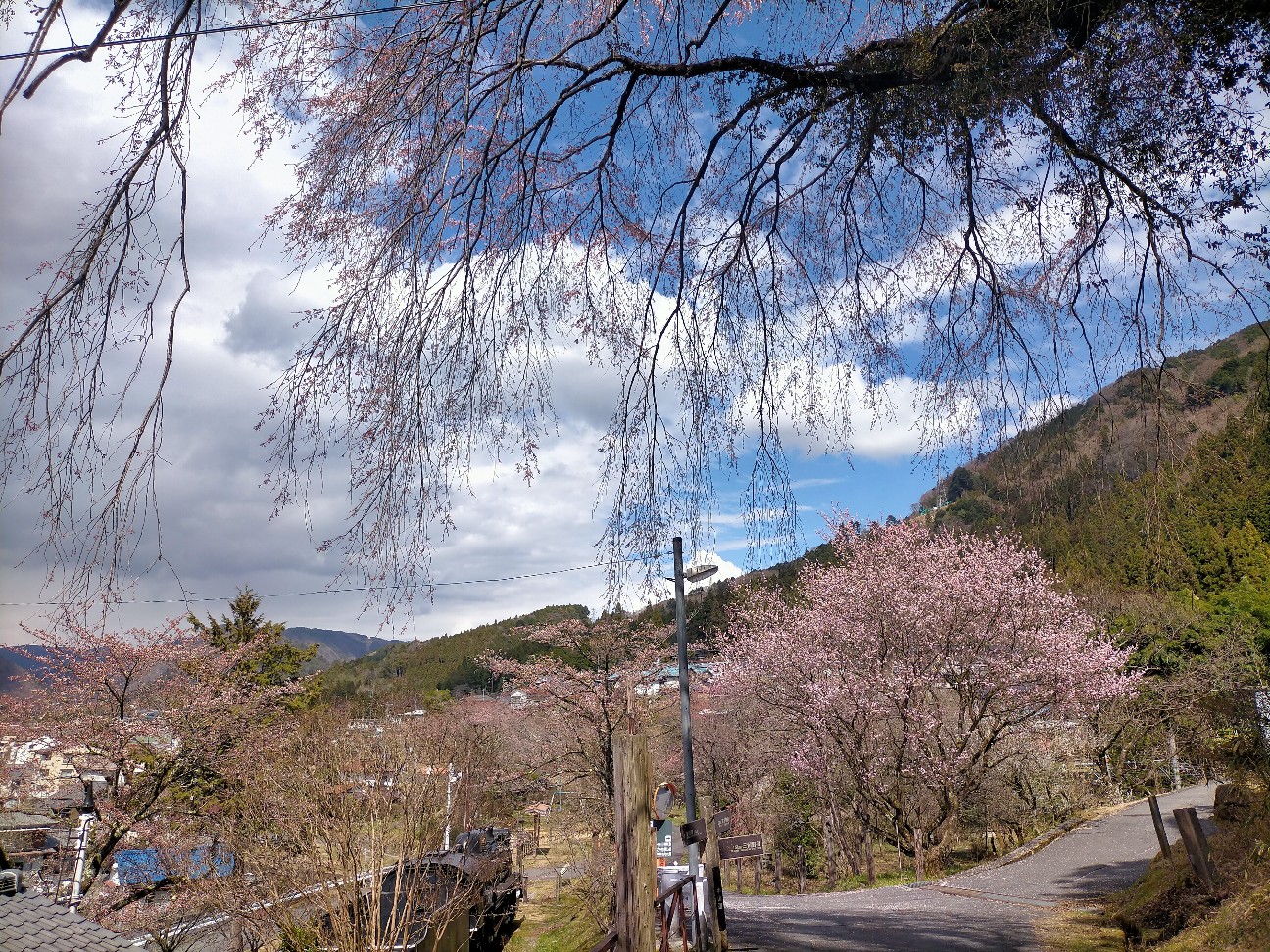 f:id:tamikiti67:20220404173357j:image f:id:tamikiti67:20220404173357j:image