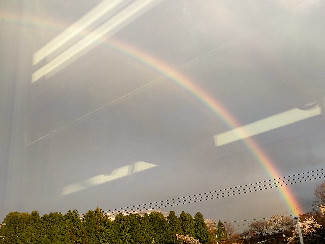 f:id:tamikiti67:20220404183446j:image f:id:tamikiti67:20220404183446j:image