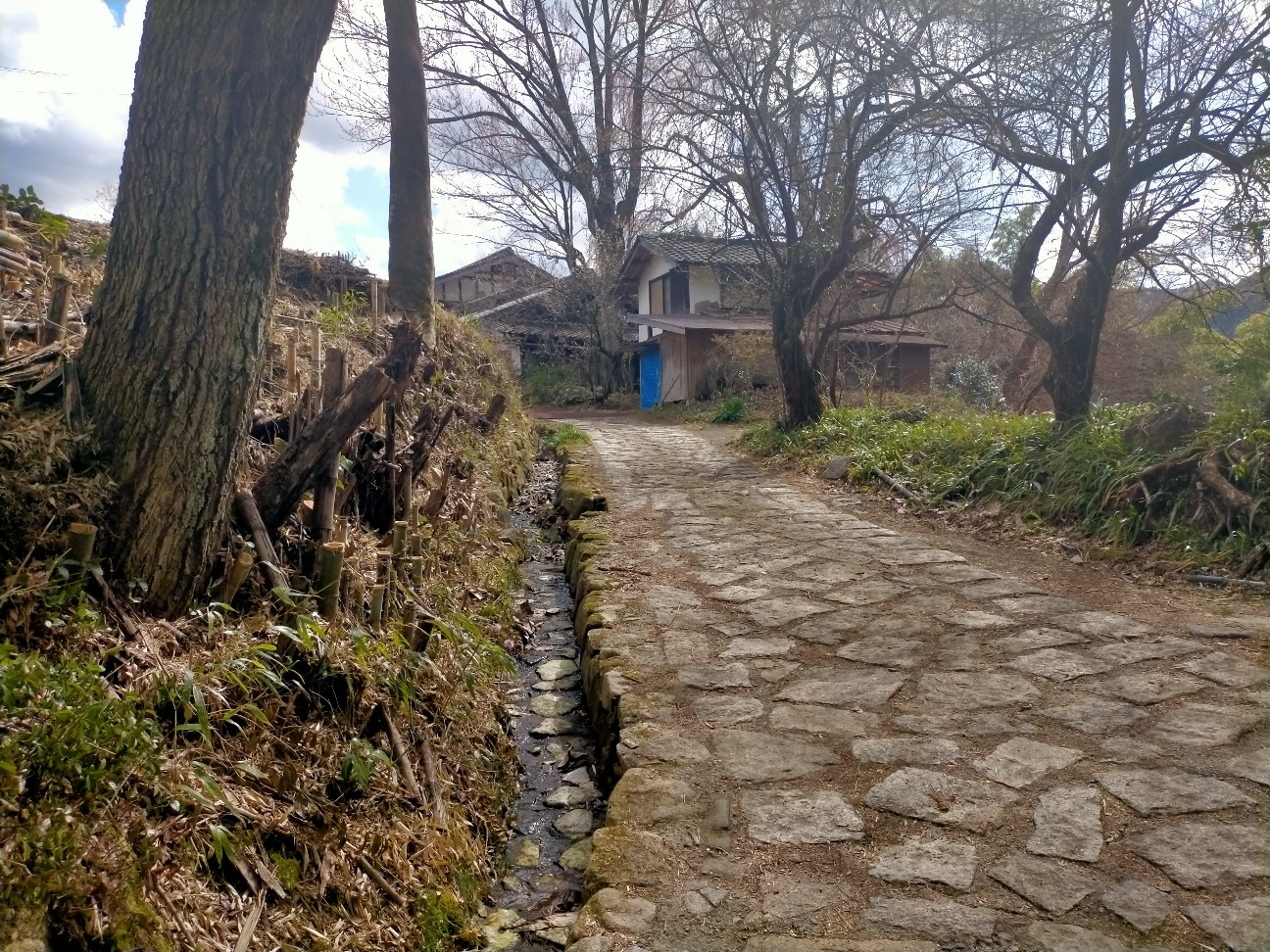 f:id:tamikiti67:20220404191610j:image f:id:tamikiti67:20220404191610j:image