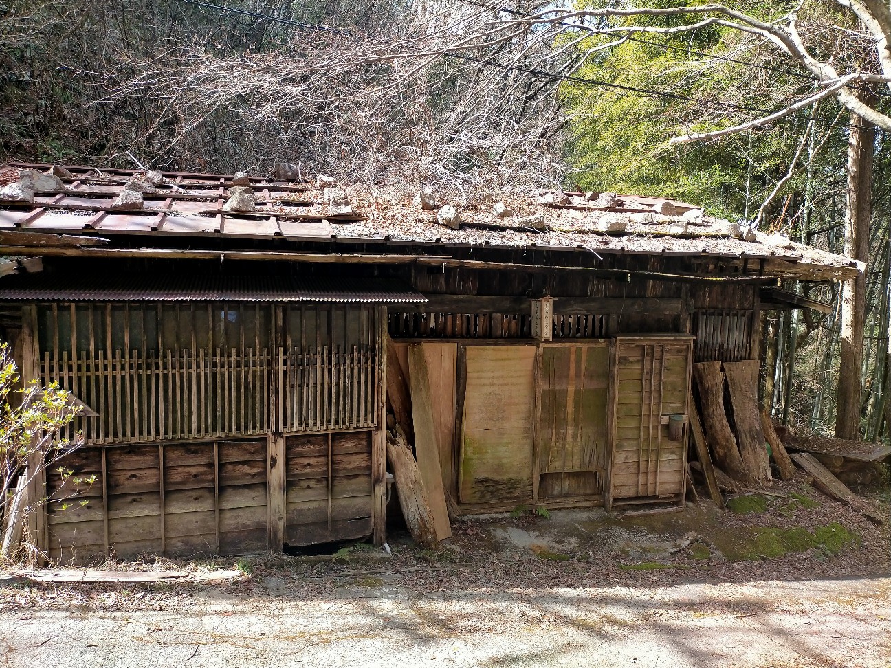 f:id:tamikiti67:20220404191657j:image f:id:tamikiti67:20220404191657j:image