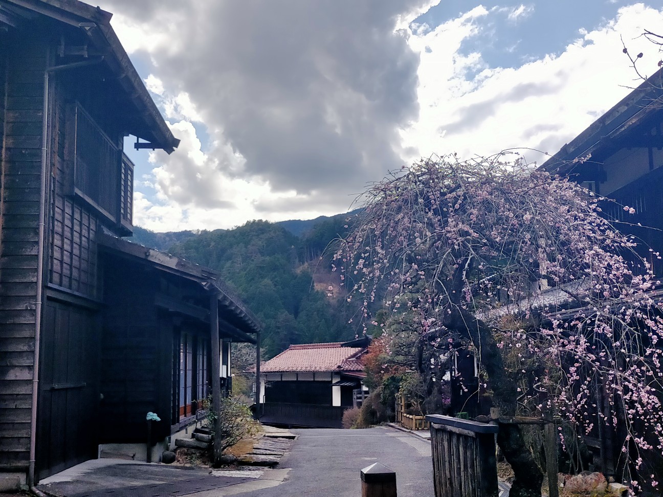 f:id:tamikiti67:20220404191819j:image f:id:tamikiti67:20220404191819j:image