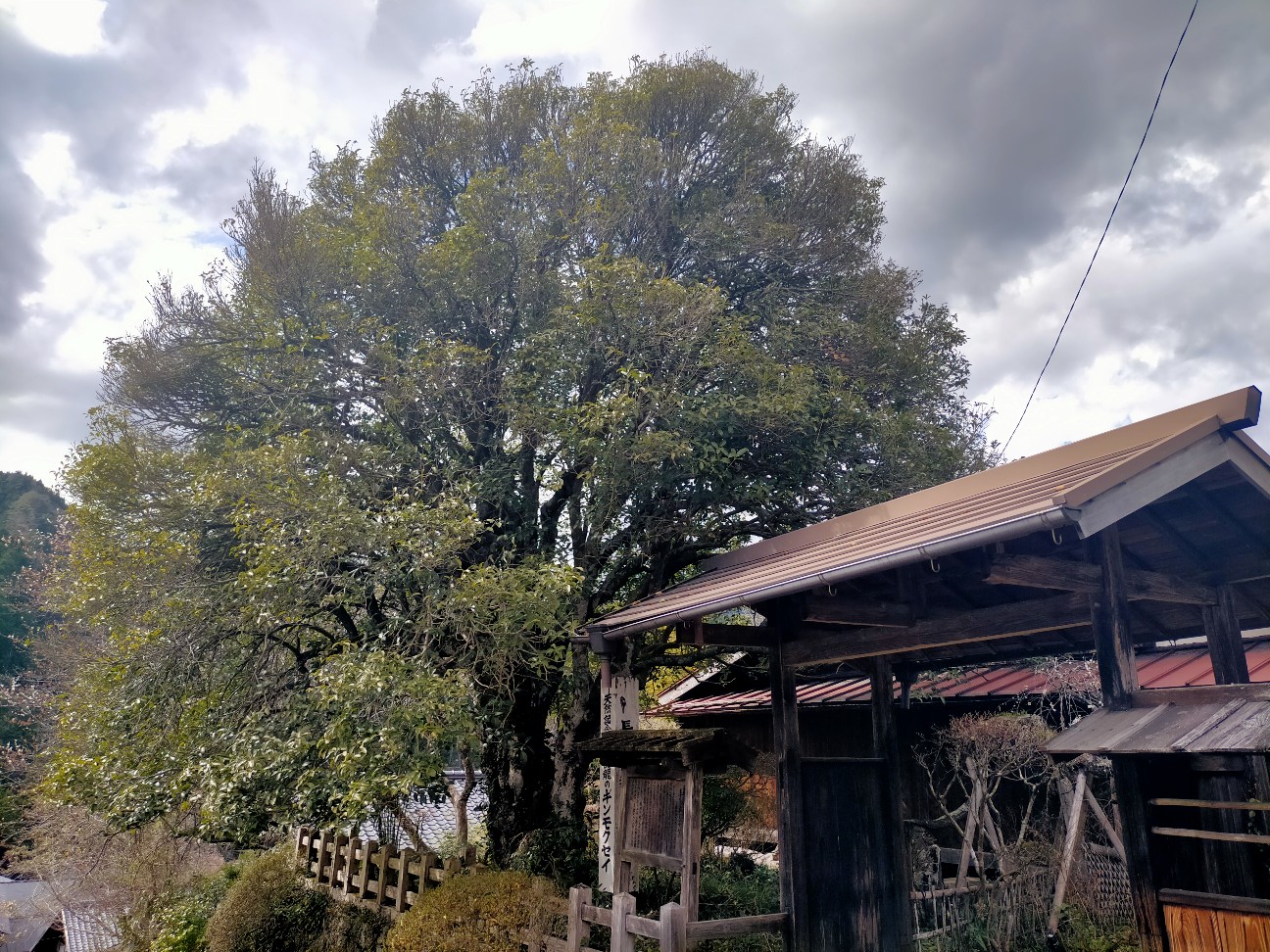 f:id:tamikiti67:20220404192327j:image f:id:tamikiti67:20220404192327j:image