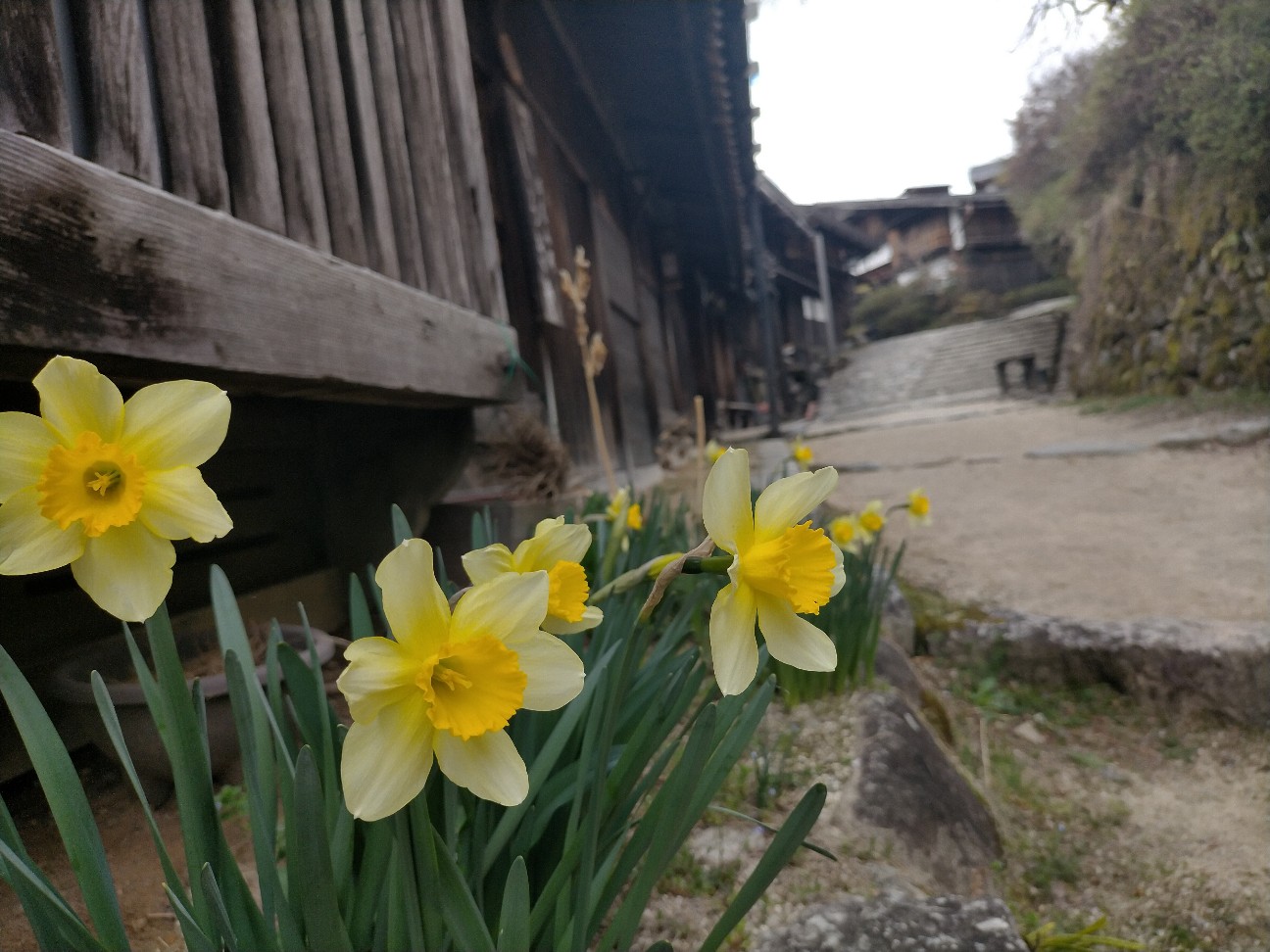 f:id:tamikiti67:20220404192519j:image f:id:tamikiti67:20220404192519j:image