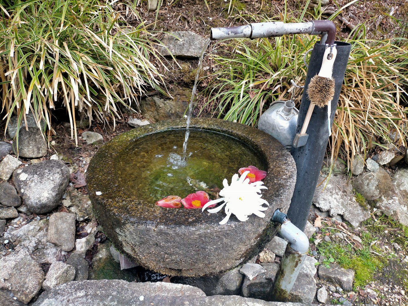 f:id:tamikiti67:20220404192536j:image f:id:tamikiti67:20220404192536j:image