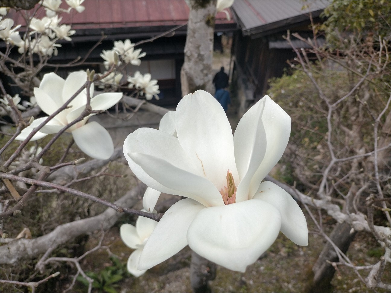 f:id:tamikiti67:20220404192611j:image f:id:tamikiti67:20220404192611j:image