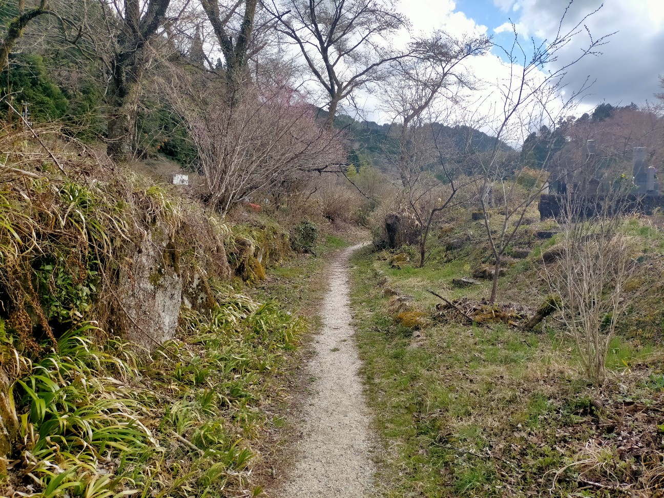 f:id:tamikiti67:20220404193228j:image f:id:tamikiti67:20220404193228j:image