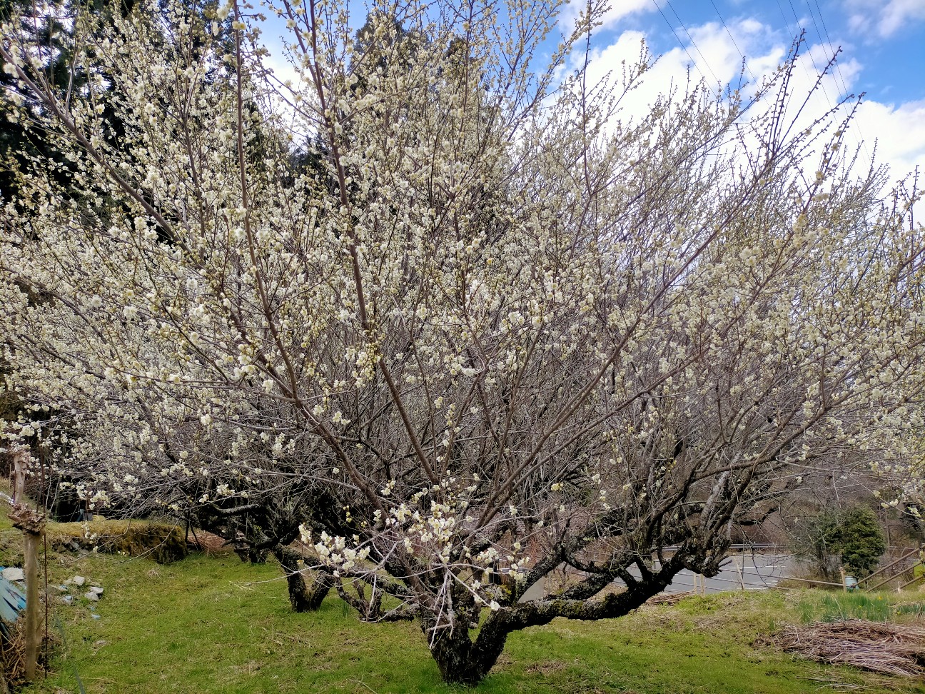 f:id:tamikiti67:20220404193422j:image f:id:tamikiti67:20220404193422j:image