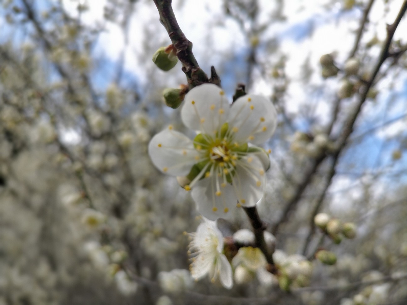 f:id:tamikiti67:20220404193500j:image f:id:tamikiti67:20220404193500j:image