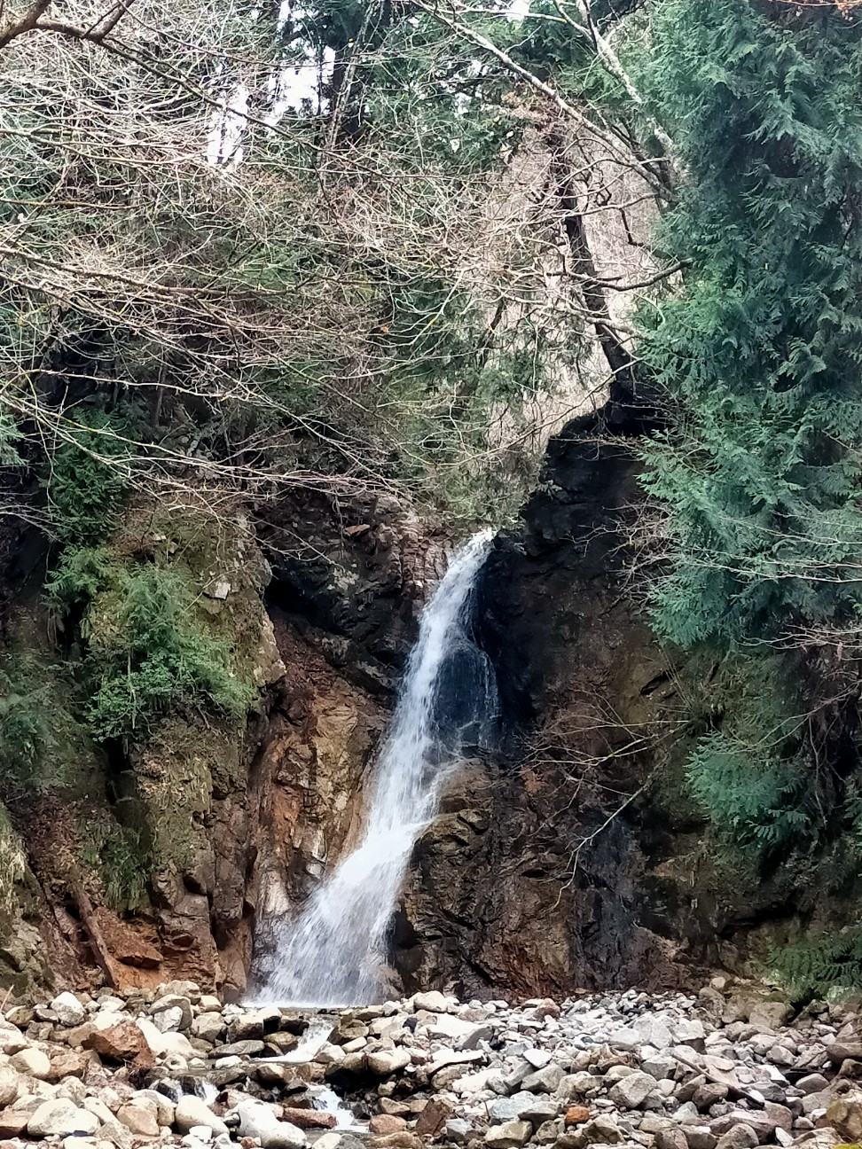 f:id:tamikiti67:20220404193541j:image f:id:tamikiti67:20220404193541j:image