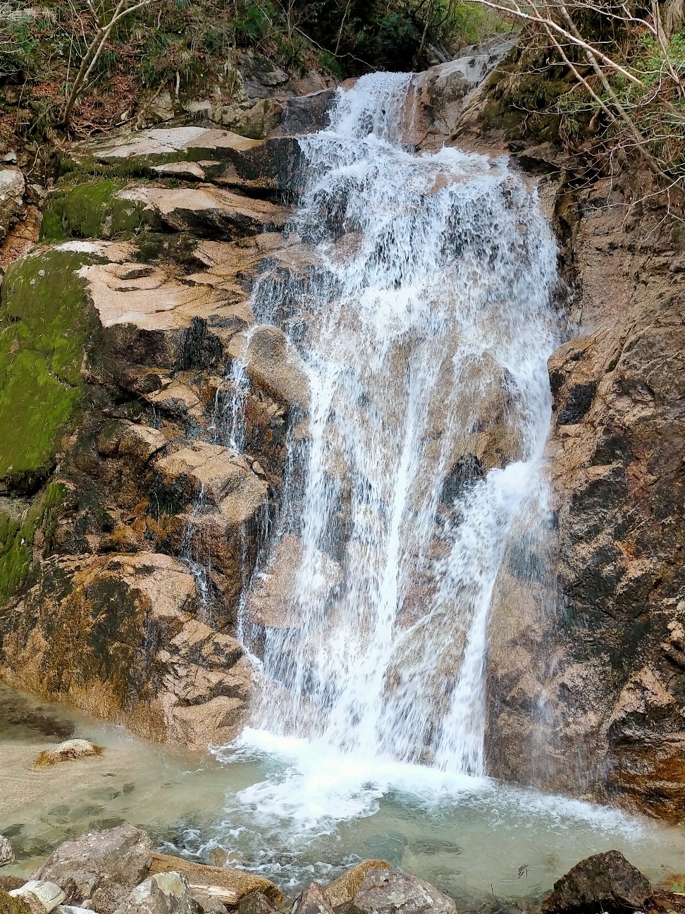 f:id:tamikiti67:20220404193558j:image f:id:tamikiti67:20220404193558j:image