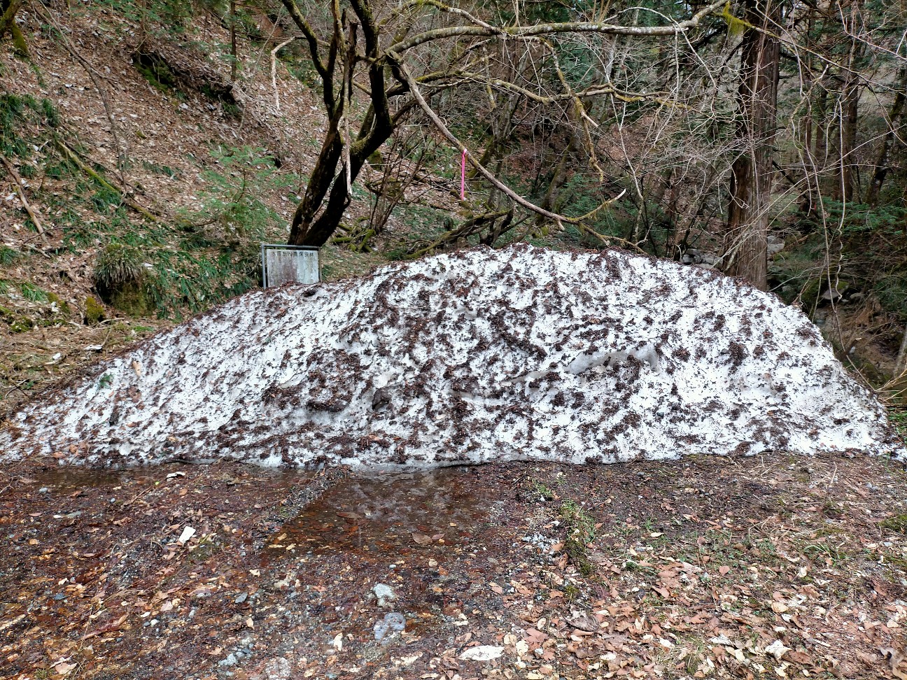 f:id:tamikiti67:20220404193621j:image f:id:tamikiti67:20220404193621j:image