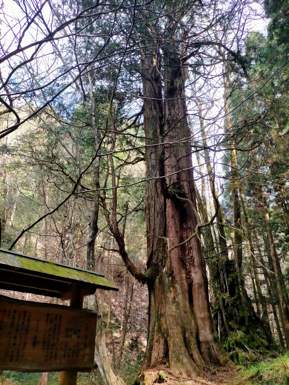 f:id:tamikiti67:20220404193707j:image f:id:tamikiti67:20220404193707j:image