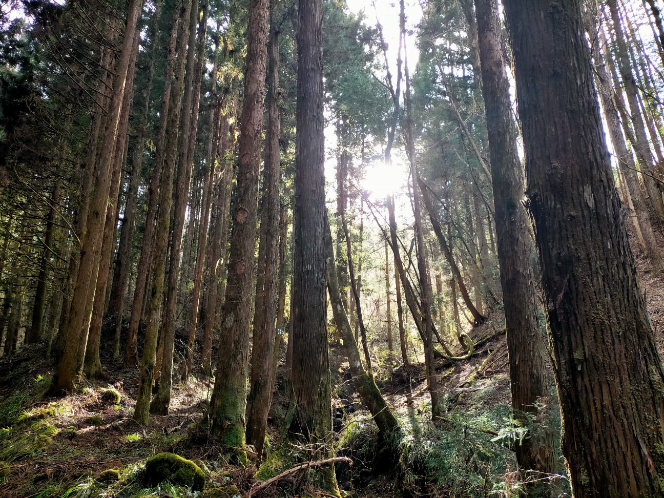 f:id:tamikiti67:20220404193734j:image f:id:tamikiti67:20220404193734j:image