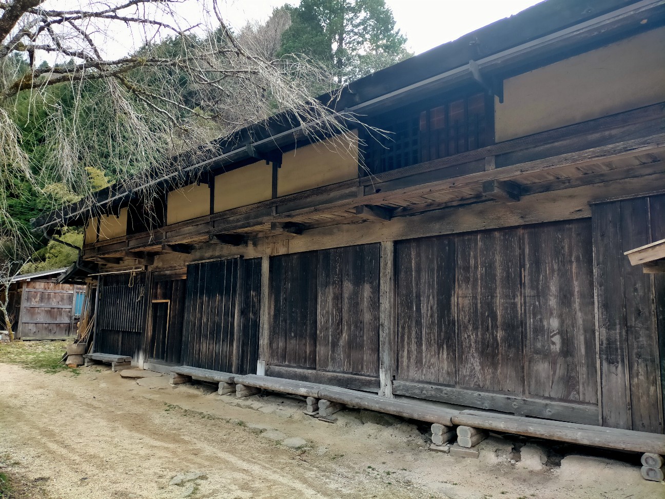 f:id:tamikiti67:20220404193844j:image f:id:tamikiti67:20220404193844j:image