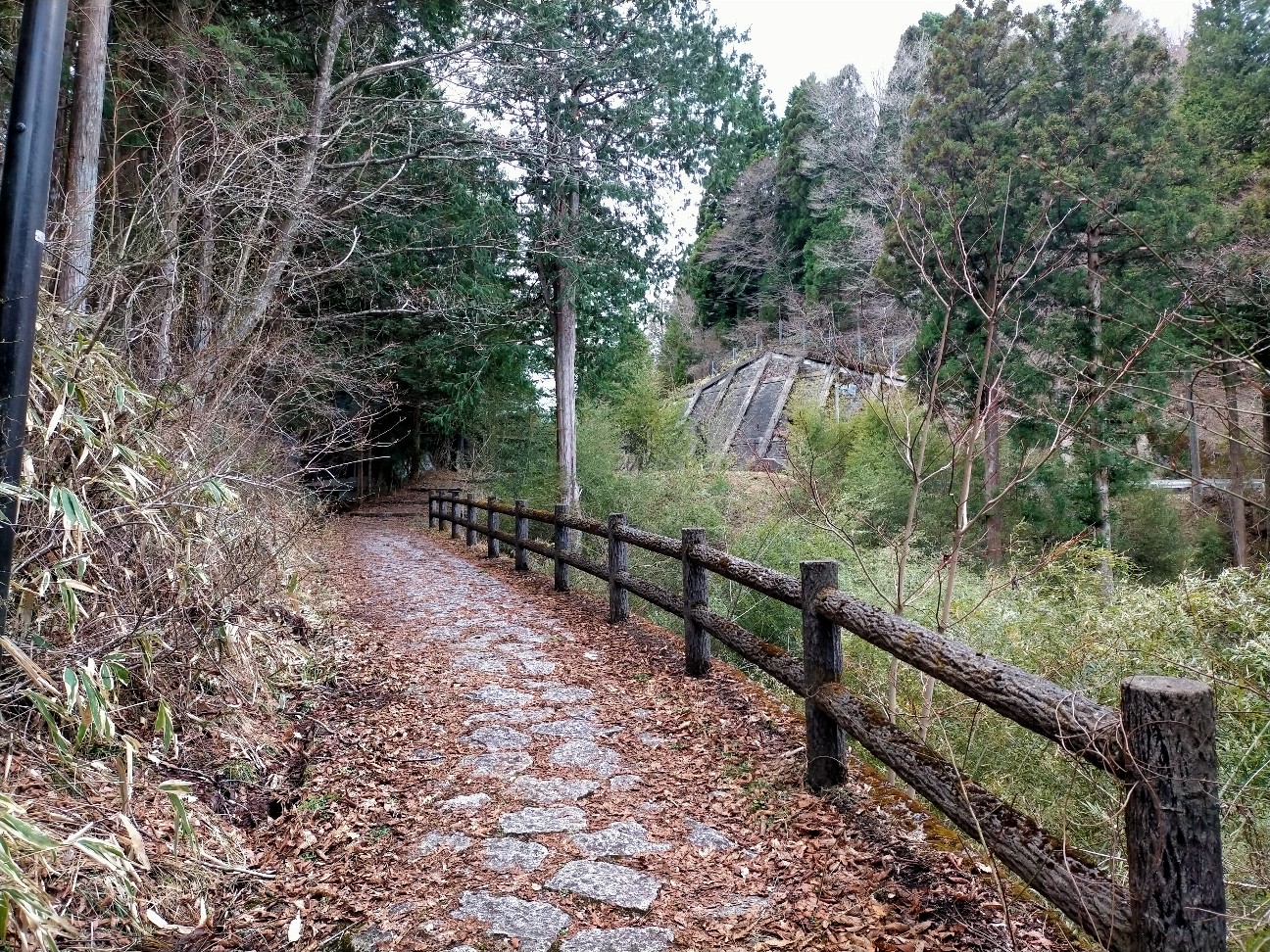 f:id:tamikiti67:20220404193918j:image f:id:tamikiti67:20220404193918j:image