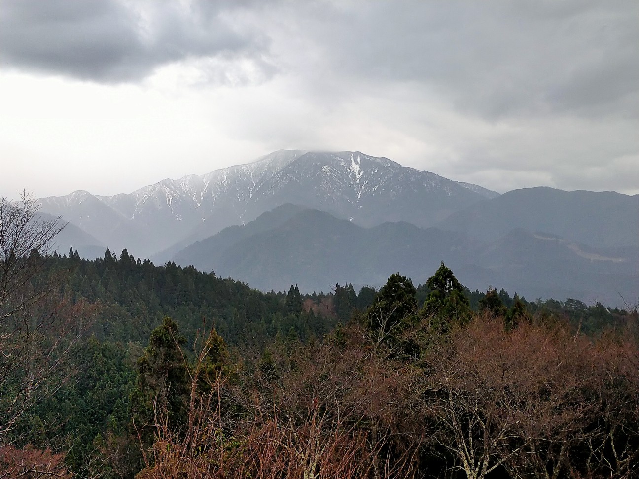 f:id:tamikiti67:20220404194318j:image f:id:tamikiti67:20220404194318j:image