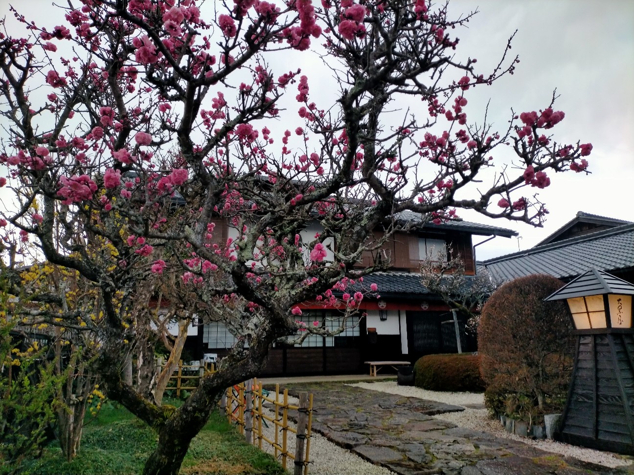 f:id:tamikiti67:20220404194447j:image f:id:tamikiti67:20220404194447j:image