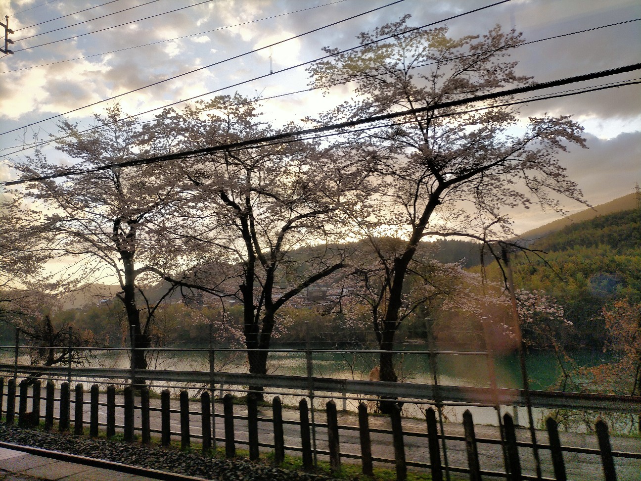 f:id:tamikiti67:20220404194719j:image f:id:tamikiti67:20220404194719j:image