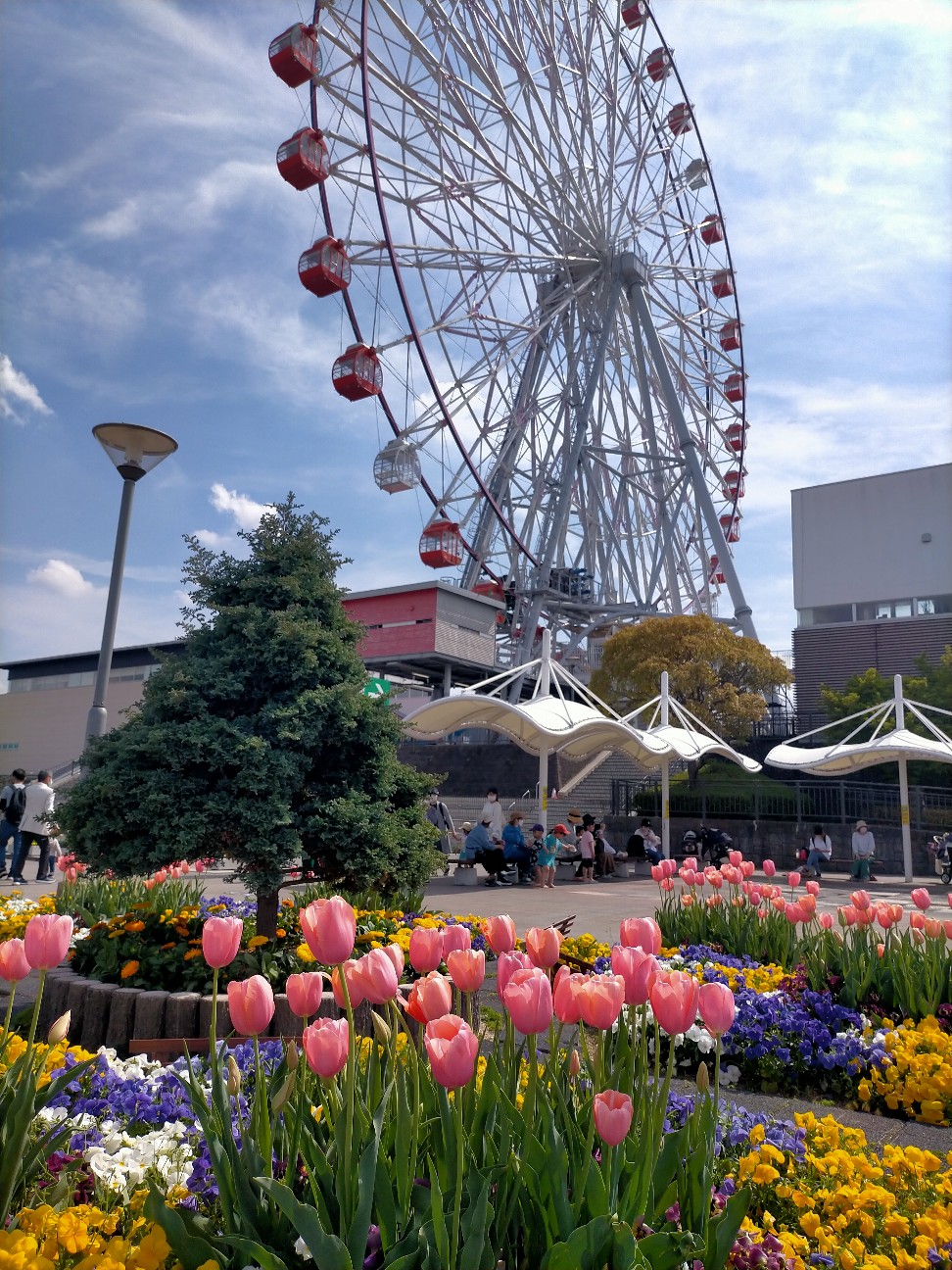 f:id:tamikiti67:20220413184803j:image f:id:tamikiti67:20220413184803j:image