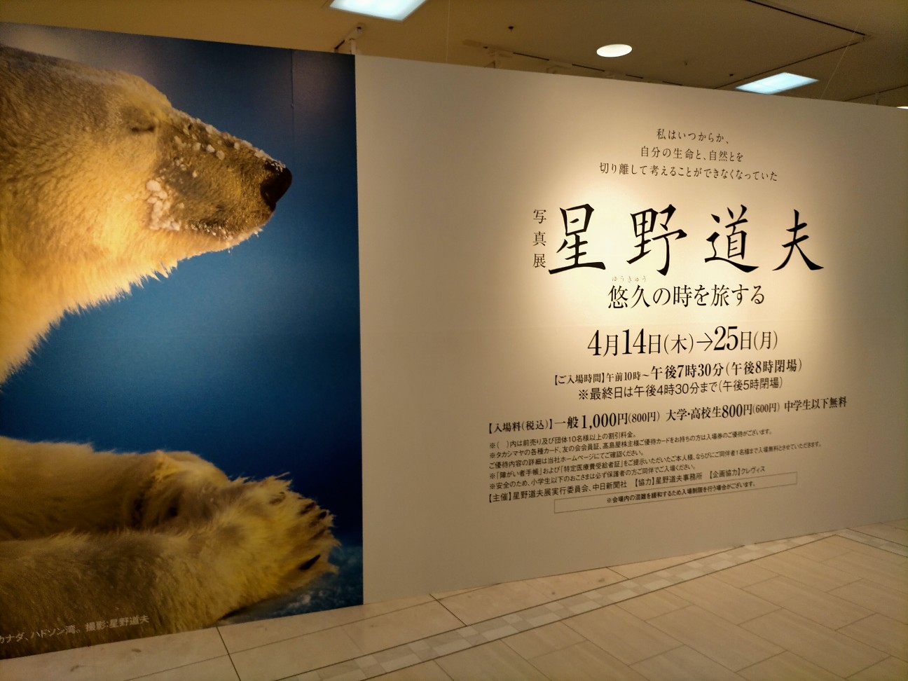 星野道夫写真展 - まーきちの人生暇つぶし