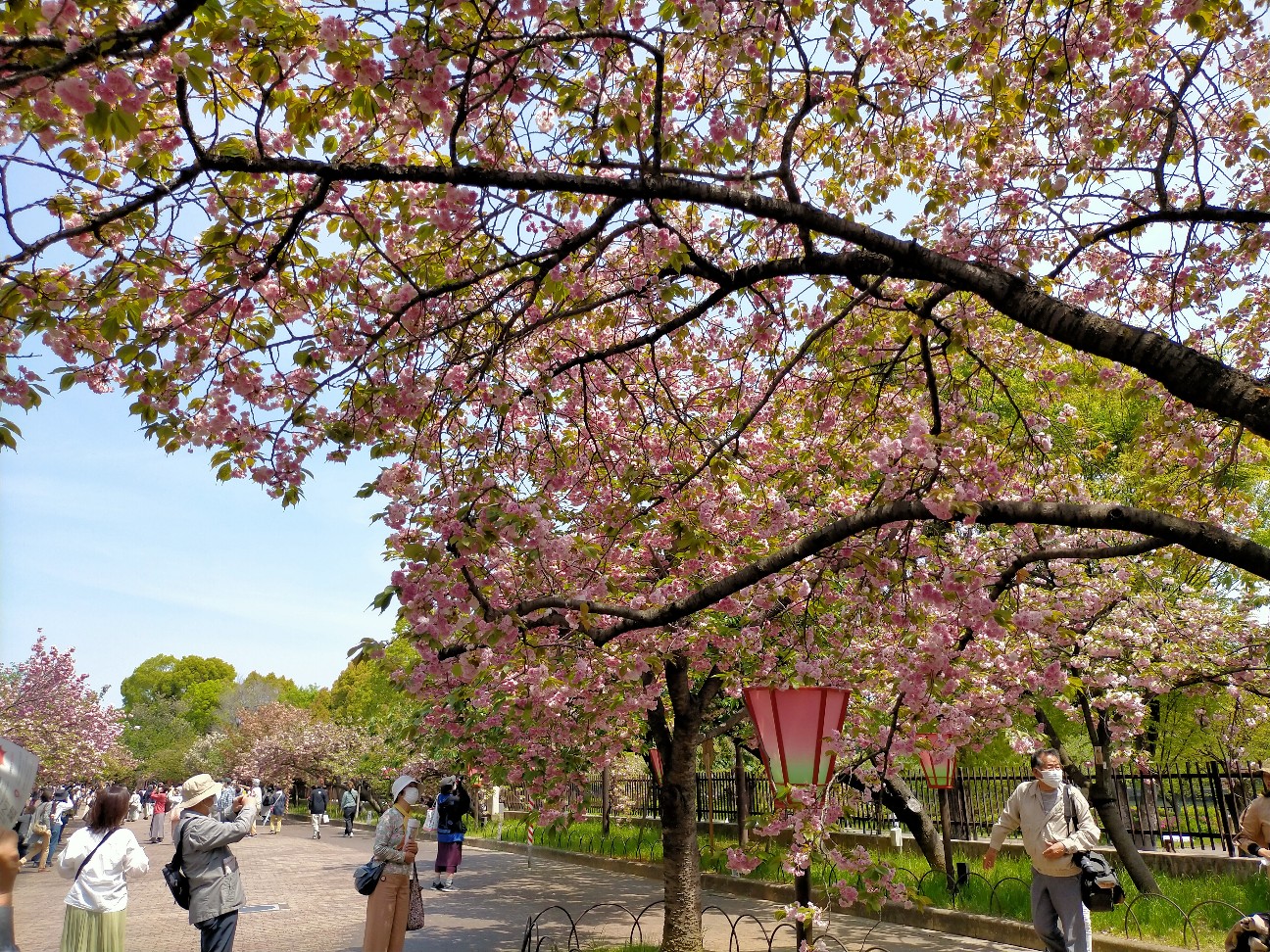 f:id:tamikiti67:20220419231010j:image