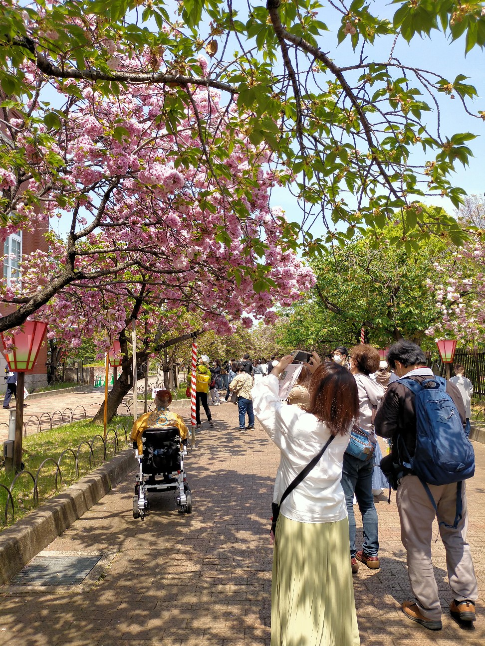 f:id:tamikiti67:20220419231315j:image